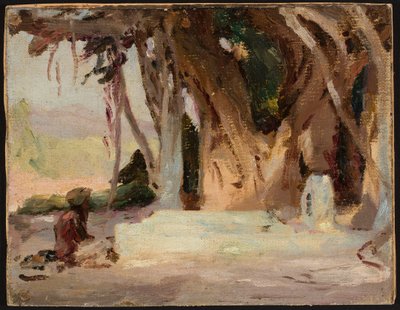 Studie von einer Reise nach Indien von Jan Ciągliński