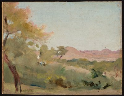 Udaipur - Indische Landschaft. Aus der Reise nach Indien von Jan Ciągliński