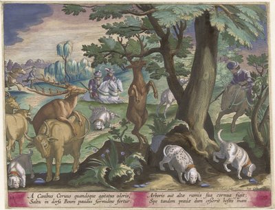 Hirschjagd mit Hunden von Jan Collaert