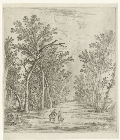 Waldweg von Jan Fouceel