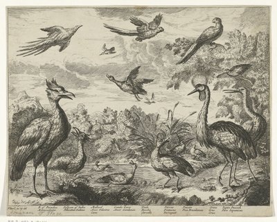 Verschiedene Vögel in einer Landschaft von Jan Griffier (I) (copy after)