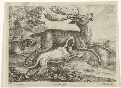 Jagd auf einen Hirsch von Jan Griffier (I)