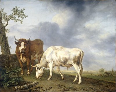 Ochsen auf der Wiese von Jan II Kobell