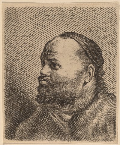 Büste eines Mannes mit dicken Lippen von Jan Lievens