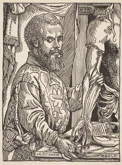 Andre Vesale, Kopie von Boris Mestchersky (gest. 1957), Illustration aus Histoire de la Nation Francaise, Sciences, Bände I und II, von Gabriel Hanotaux (1853-1944), 1924 von Jan Stephen van Calcar