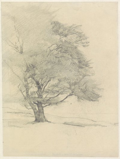 Die Malerbuche bei Hoog-Soeren von Jan Veth