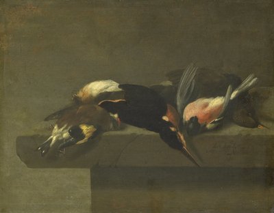 Tote Vögel von Jan Vonck