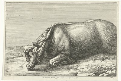 Gefallenes Pferd auf der linken Seite gesehen von Jan van Huchtenburg