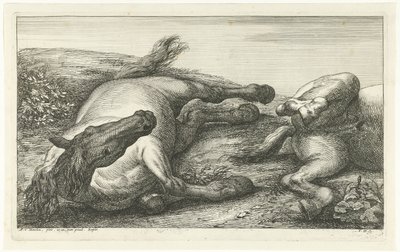 Zwei gefallene Pferde, das linke von vorne gesehen (Gefallene Pferde) von Jan van Huchtenburg