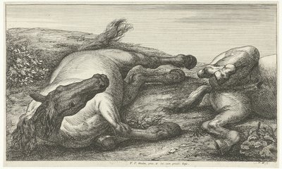 Zwei gefallene Pferde, das linke von vorne gesehen (Gesneuvelde paarden) von Jan van Huchtenburg