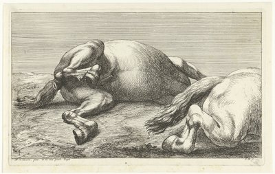 Zwei gefallene Pferde, von denen das rechte von der Seite gesehen wird von Jan van Huchtenburg