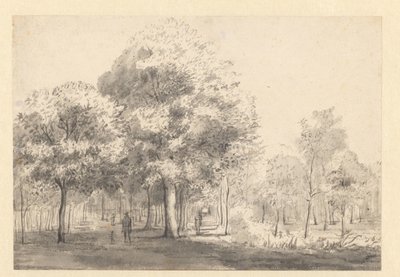 Ansicht des Haarlemmerhout, Haarlem von Jan van Kessel (attributed to)