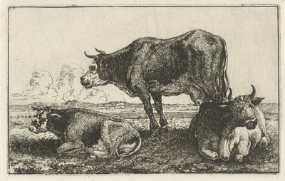 Drei Kühe von Jan van den Hecke