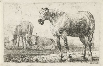 Pferde und Kühe (Serie: Dieren, Zoographiam) von Jan van den Hecke