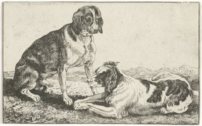 Zwei ruhende Hunde von Jan van den Hecke