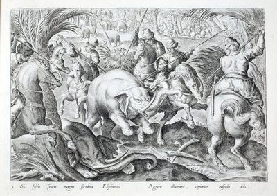 Elefanten machen großen Lärm, als sie von den Speeren der Jäger getroffen werden, Illustration aus 