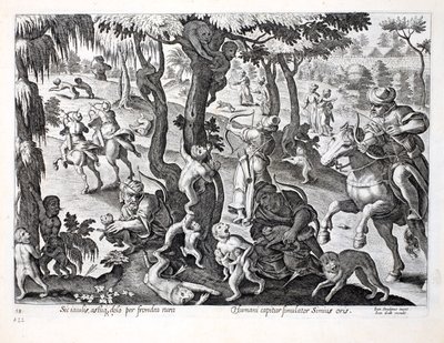 Affenjagd auf dem Land, Illustration aus 