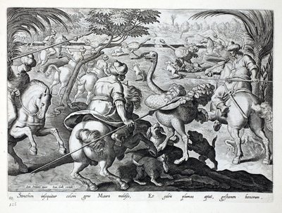 Mauren zu Pferd jagen Strauße, Tafel 62, Illustration aus 