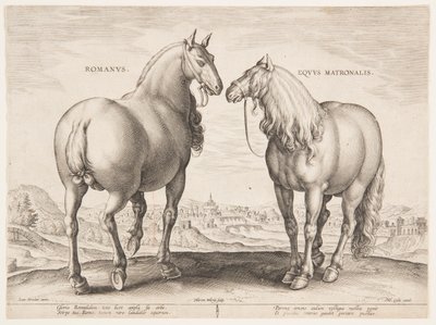Ein römisches Pferd, aus dem ersten Satz von "Equile Joannis Austriaci" von Jan van der Straet, called Stradanus