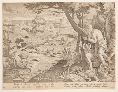 Kranichjagd mit Kegeln, Platte 28 in der Serie Venationes Ferarum, Avium, Piscium von Jan van der Straet, called Stradanus