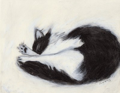 Thomas macht ein Nickerchen, ca. 2018 von Janel Bragg
