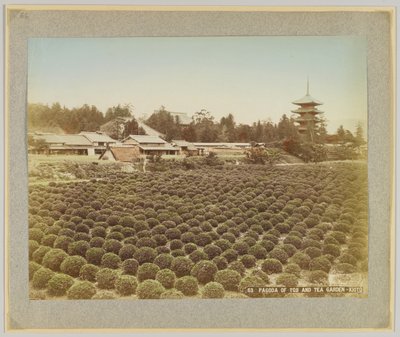 Pagode von Toji und Teegarten, Kyoto, Japan von Japanese Photographer