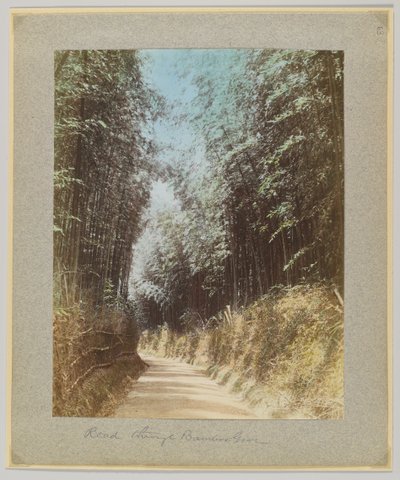 Straße durch einen Bambushain, Japan von Japanese Photographer