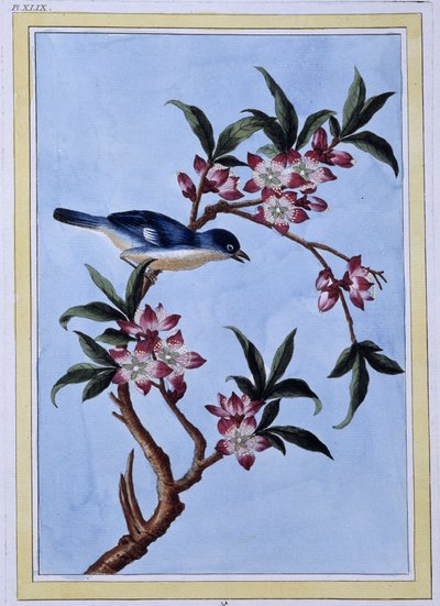 Vogel - Japanischer Druck von Japanese School