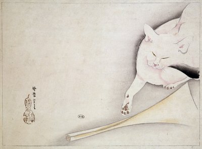Katze, japanische Zeichnung, 19. Jahrhundert von Japanese School