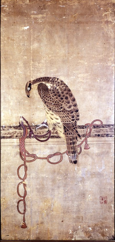 Falke. Japanisches Werk aus dem 15. Jahrhundert von Daysen. Genua, Museo Chiossone von Japanese School