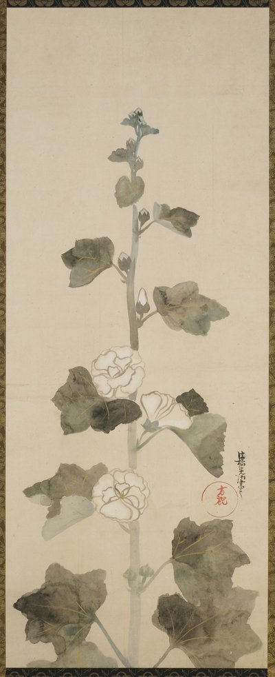Weiße Stockrosen, Edo-Zeit, 1615-1868 von Japanese School
