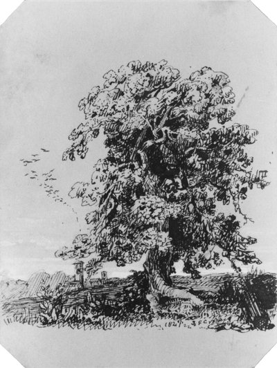 Landschaft mit Baum und einem Dorf in der Ferne (aus dem Cropsey-Album) von Jasper Francis Cropsey