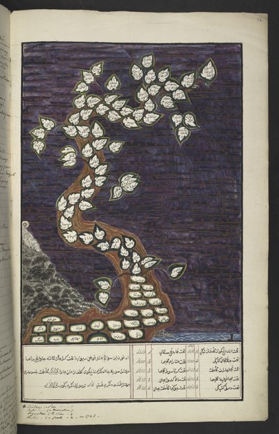 Genealogische Tafel in Form eines Baumes der Herrscher von Java, von Adam bis Pakuwana IV (von Surakarta) und Mataram IV (Hamengkubuwana IV von Yogykarta), in einem javanischen Manuskript, Papakem Pawukon von Javanese School