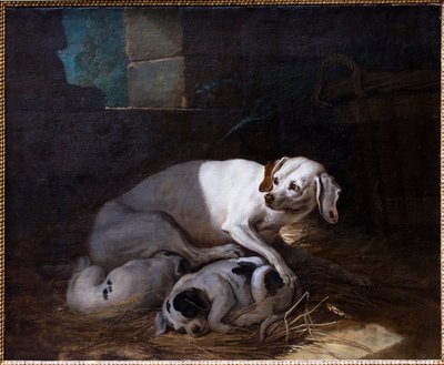 Hund, der ihre Jungen säugt von Jean-Baptiste Oudry