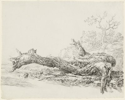 Ein umgestürzter alter Baum neben einem Bach von Jean Antoine Constantin