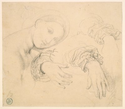 Blatt mit Studien des Kopfes der Fornarina und der Hände von Madame de Senonnes von Jean Auguste Dominique Ingres