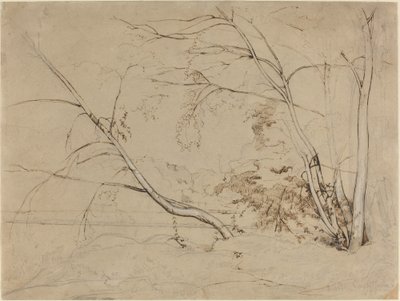 Baumgruppe bei Civita Castellana von Jean Baptiste Camille Corot