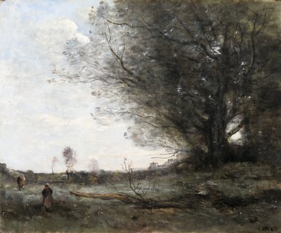 Die Buche von Jean Baptiste Camille Corot
