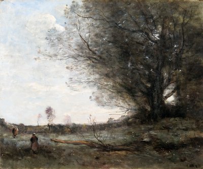 Die Buche, ca. 1865 von Jean Baptiste Camille Corot