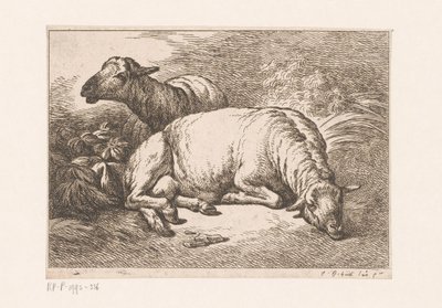 Zwei Schafe (Serie: Verschiedene Darstellungen von Huet, Cahiers d