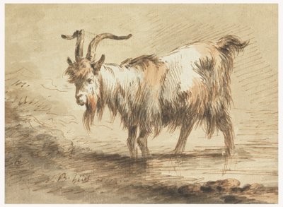 Zeichnung, Studie einer Ziege von Jean-Baptiste Huet