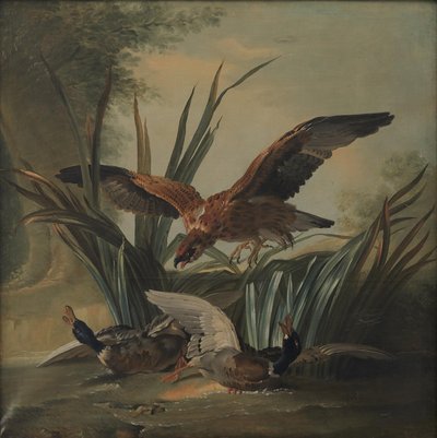 Ein Falke stürzt sich auf ein Paar Enten von Jean Baptiste Oudry