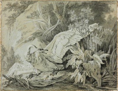 Ein wilder Schwan von einem Hund angegriffen von Jean Baptiste Oudry