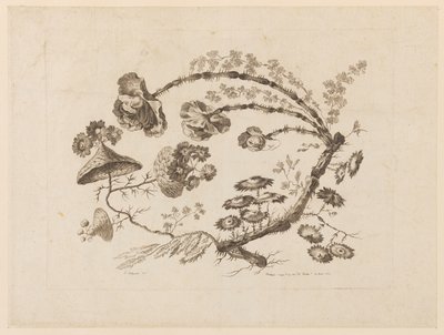 Blumenzweige, aus "Recueil de Differentes Fleurs de Fantaisie Dans le Goût Chinois" von Jean Baptiste Pillement