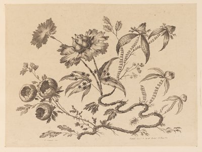 Blumenzweige, aus "Sammlung verschiedener Fantasieblumen im chinesischen Stil" von Jean Baptiste Pillement