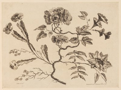 Blumenzweige, aus "Recueil de Differentes Fleurs de Fantaisie Dans le Goût Chinois" von Jean Baptiste Pillement