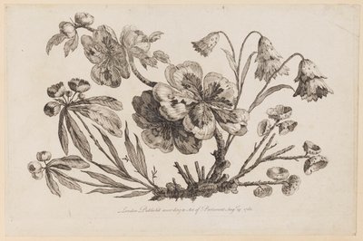 Blumenzweige, aus "Recueil de Fleurs de Chinois" von Jean Baptiste Pillement