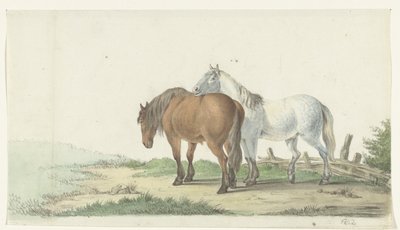 Ein braunes und weißes Pferd auf einem Weg neben einem Zaun von Jean Bernard