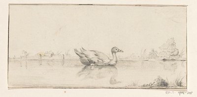 Ente im Wasser von Jean Bernard