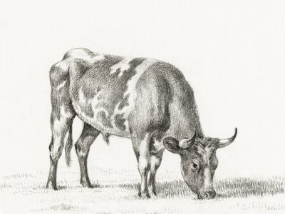Weidender Bulle von Jean Bernard